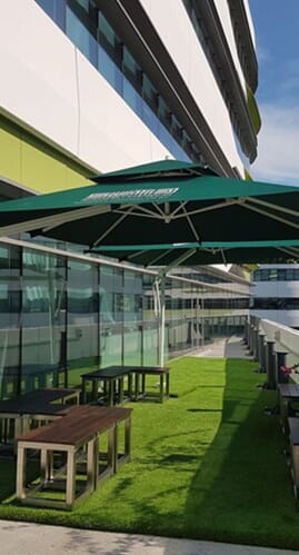 Parasol